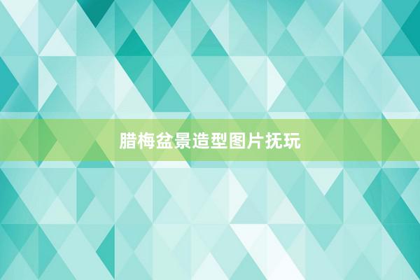 腊梅盆景造型图片抚玩